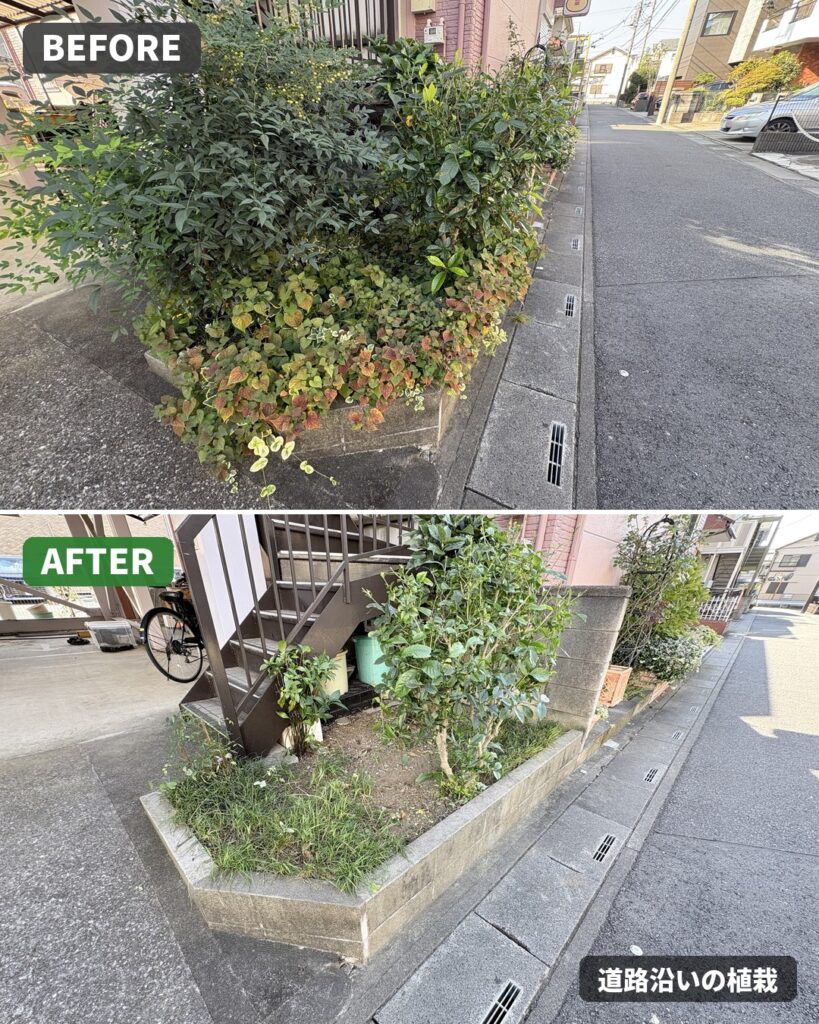 道路沿いの植栽 剪定・草むしり ビフォーアフター（草加市）